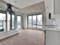 Condo rental-apartment for rent-logement locatif 1 chambres/bedrooms, 1cc 3.5 3 1/2-Quartier des spe... (image 1)
