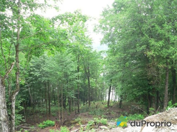 $75,000 - Residential Lot for sale in Chertsey — photo 2