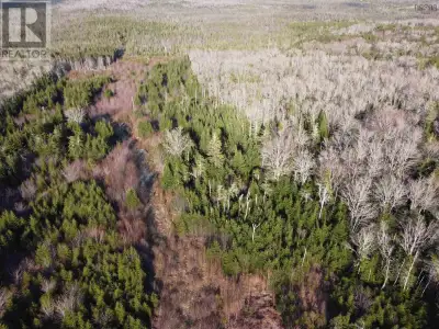 Wow what an opportunity to own 80 acres of land in Sheet Harbour! This property includes two 30,000...