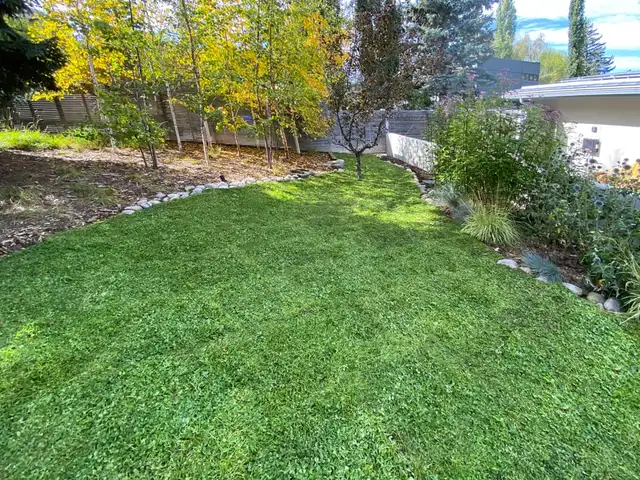 Calgary’s best lawn care deals? Yeah, that’s us.62863245710083121
