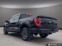 Low Mileage! This 2023 Ford F-150 is fresh on our lot in Kanata. The perfect truck for work or play,... (image 3)