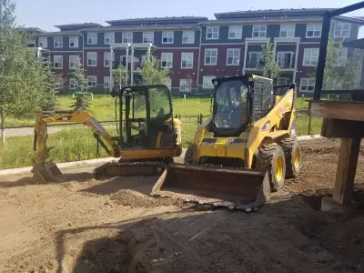 Tree Stumps, Bush Removal & Landscaping, View more