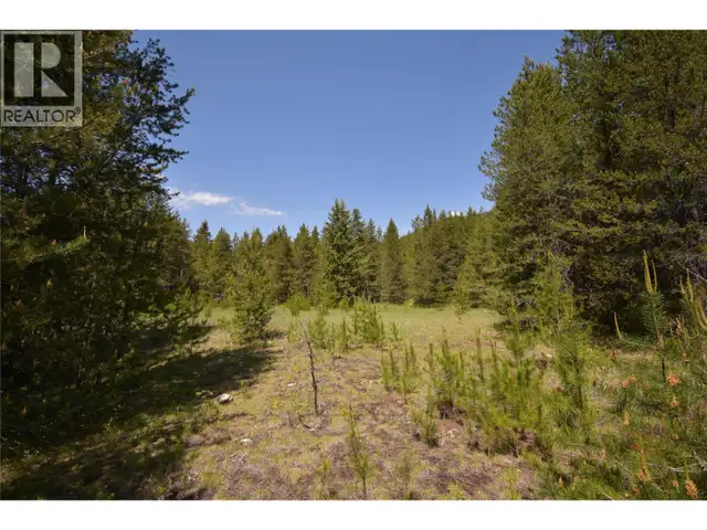 4125 Ross Spur Road Fruitvale, British Columbia in Land for Sale in Nelson - Image 11