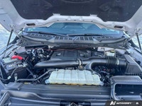 *The NO HASSLE Pre-Owned Experience* • No Hassle Pricing • 14-Day/1,000 km Exchange Privilege • 30-D... (image 9)