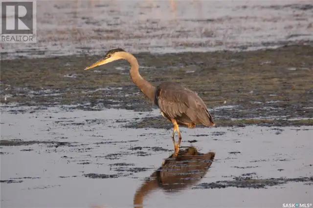 6 Bronco DRIVE Big River Rm No. 555, Saskatchewan in Houses for Sale in Meadow Lake - Image 39