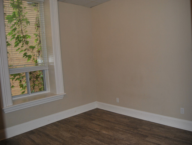 Cozy One Bedroom Downtown in Long Term Rentals in Guelph - Image 4