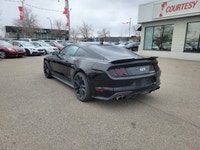 Feel the undeniable thrill of pure American muscle with this stunning 2022 Ford Mustang GT Premium!... (image 2)