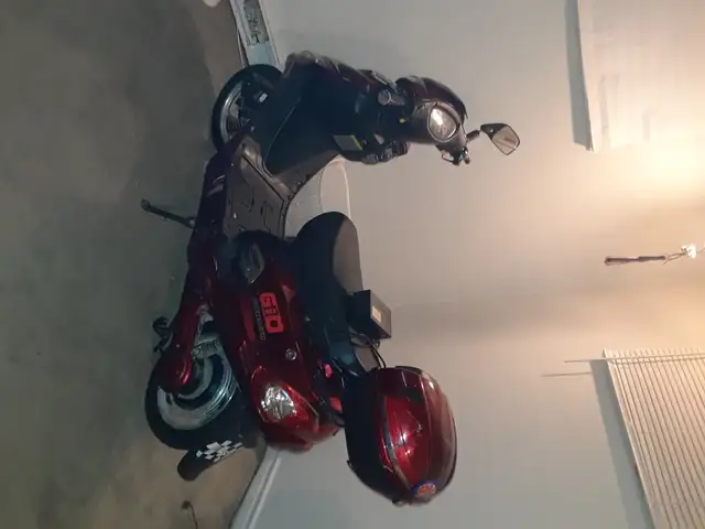 Gio Electric Scooter/eBike No Lisence Req Starts & Runs $750 OBO in Scooters & Pocket Bikes in Winnipeg - Image 2