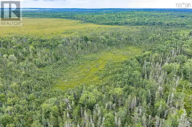 TBD Canada Hill Road Allendale, Nova Scotia in Land for Sale in Yarmouth - Image 24