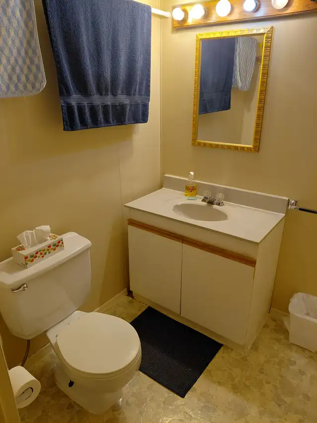 Photo 5