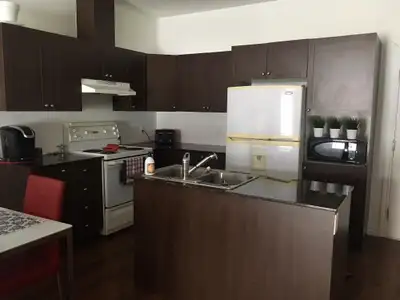 Condo style appartement (5 1/2 ) Comptoirs en marbre, douche en céramique Stationnement extérieur Pi...