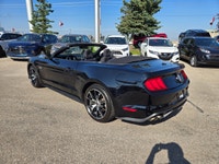 2022 Ford Mustang EcoBoost Convertible- AB Vehicle with only previous owner and has an accident & da... (image 5)
