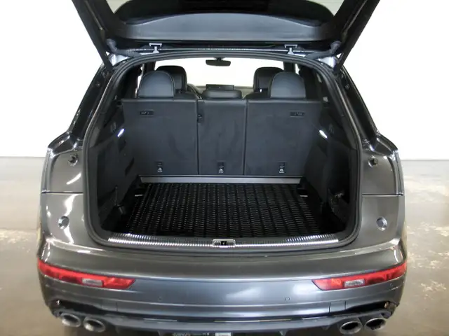 2021 Audi SQ5/Q5 Progressiv4985892832182374421