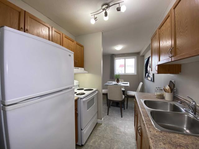 Mount Royal Apartment For Rent | Cesar Place in Long Term Rentals in Saskatoon - Image 3