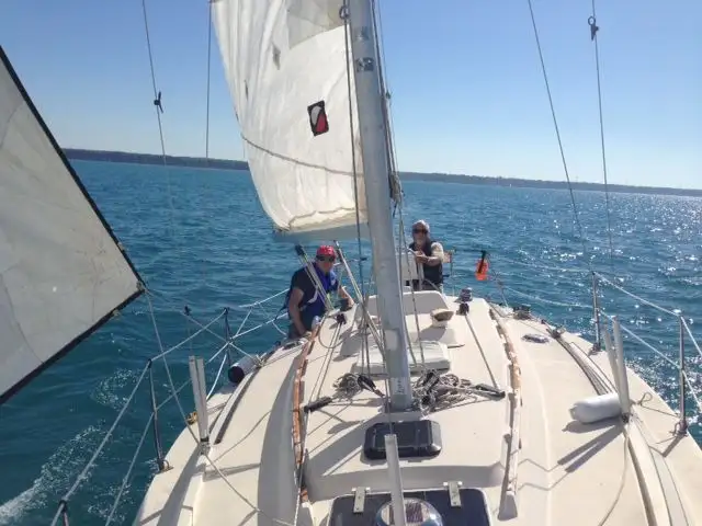 1981 EDEL 820 in Sailboats in Norfolk County - Image 2