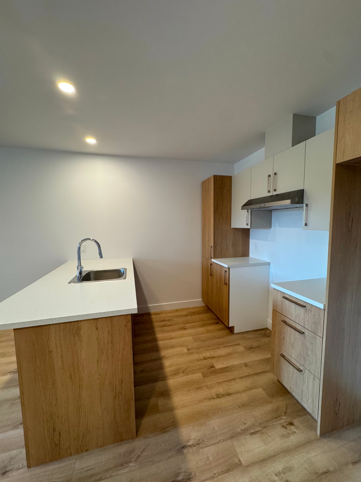 9405 Rue Foreman — photo 3