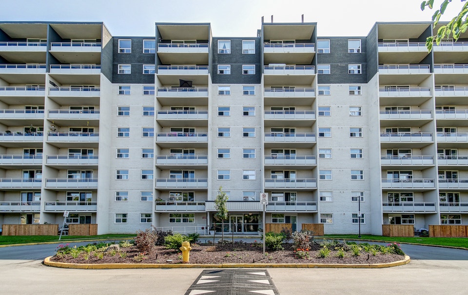 Spacious 3 bedroom reno suite! available Nov 1st! 3