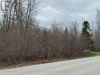 BEAUTIFUL TREED RESIDENTIAL LOT TOTALLING 3 ACRES LOCATED IN PRIME THE AREA OF TOWN .THIS LOCATION O...