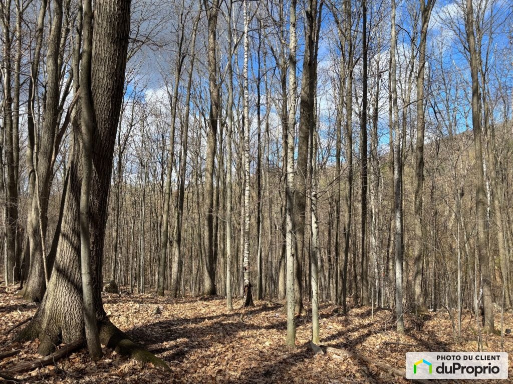 $312,500 - Residential Lot for sale in Shefford — photo 2