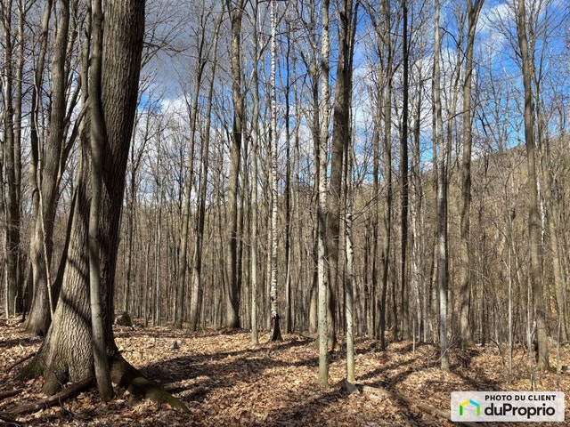 $312,500 - Residential Lot for sale in Shefford — photo 2