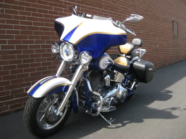 2014 Harley-Davidson FLSTNSE CVO Softail Deluxe in Street, Cruisers & Choppers in City of Toronto - Image 15