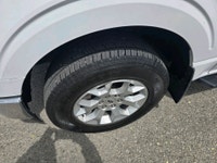 Perfect Auto CLEAN CARFAX - 8 FT BOX - 5.0 L GAS - 4X4 - TOW PKG - BACK UP CAMERA - RUNNING BOARDS -... (image 7)