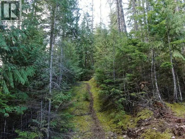 BALFOUR Avenue Lot# LOT 8 Kaslo, British Columbia in Land for Sale in Nelson - Image 7
