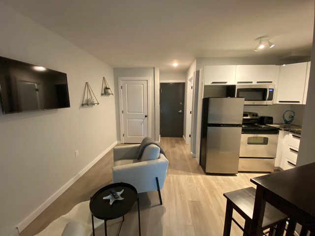 1 Bedroom Apartment - 23 Crystal Drive - $1449 in Long Term Rentals in Dartmouth