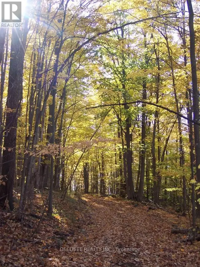 0000 COUNTY 43 ROAD North Glengarry, Ontario in Land for Sale in Ottawa - Image 5