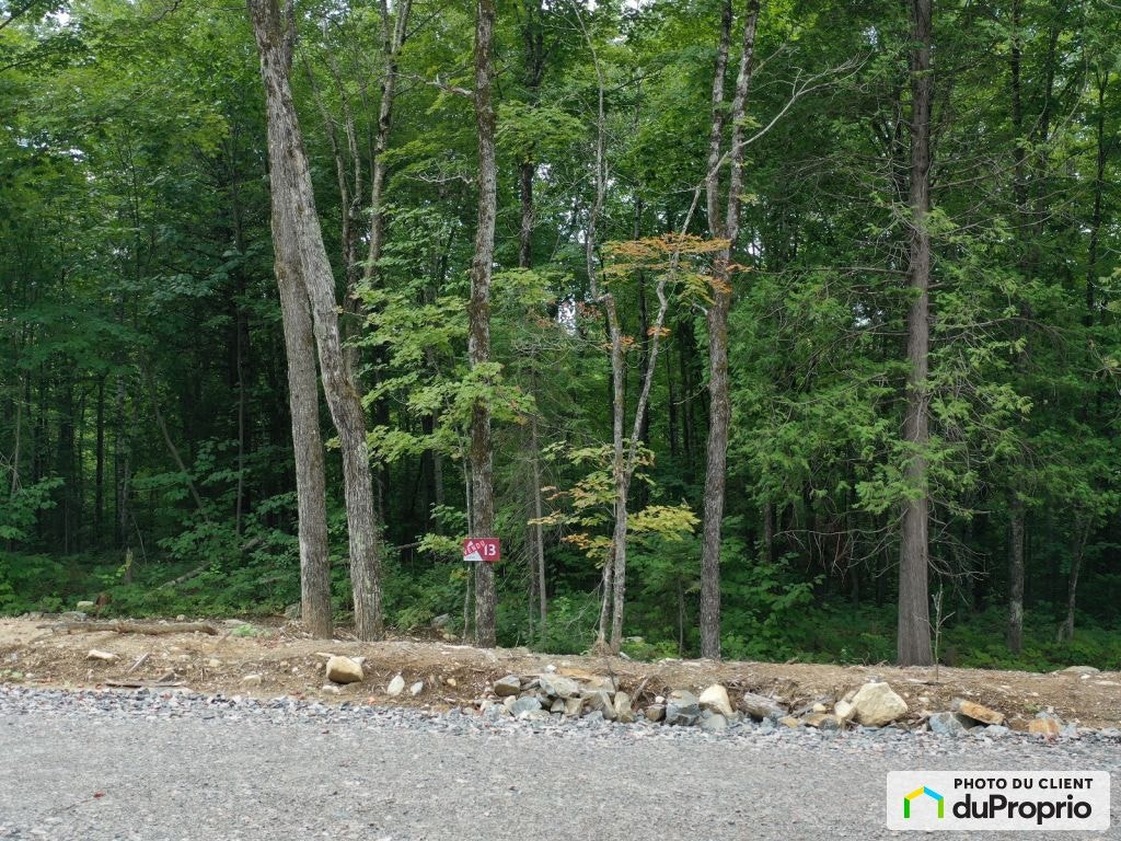 $65,900 - Residential Lot for sale in Chertsey — photo 3