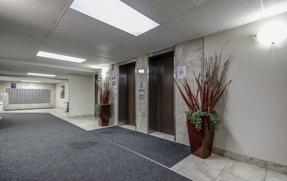 Bright & Spacious 1 bedroom Apartment 3