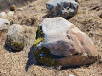 Large Granite Boulders of Various Colours and Sizes