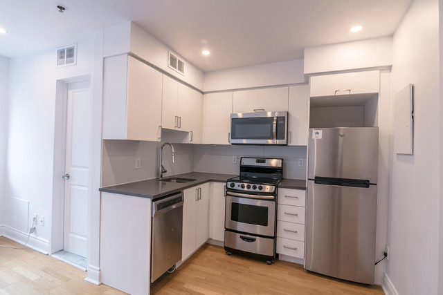 renovated studio apartment near blvd Saint-Larent - ID 1617 dans Locations longue durée  à Ville de Montréal