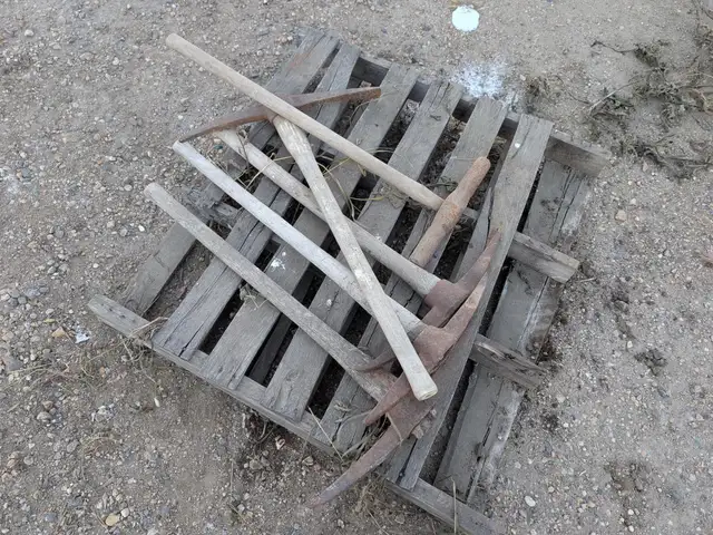 QTY OF HAND PICKS in Heavy Trucks in Edmonton - Image 3