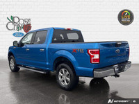 - CLOTH SEATS - 2.7L ECOBOOST ENGINE - CHROME RUNNING BOARDS - PRE-COLLISION ASSIST - BACK UP CAMERA... (image 3)