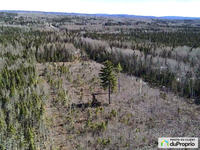 $55,900 - Residential Lot for sale in St-Bruno-De-Kamouraska — photo 3