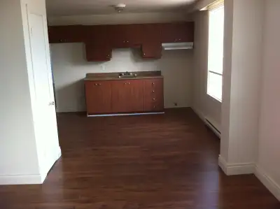 4 1/2 rénové à louer à Louiseville ✅ Disponible immédiatement | 1150$/mois | 81 rue Petite-Rivière P...