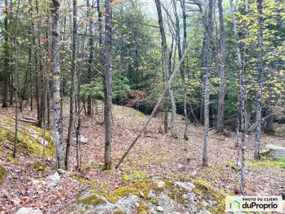Ce magnifique terrain boisé de 1,9 acre (7 642,10 m²) est situé au 20 chemin du Nordet, à deux pas d...