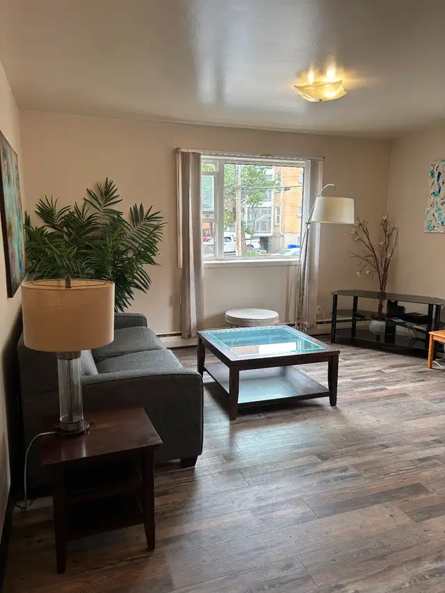 Fully furnished 1 bedroom and studio downtown apartment UofS63251763184385121