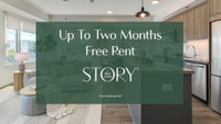 New Studio Apartment - Up to Two Months Free Rent