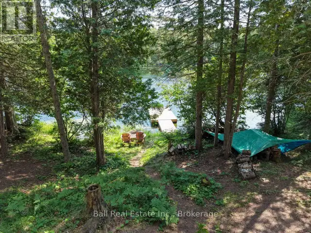 382 OLD DETLOR ROAD Bancroft (Dungannon Ward), Ontario in Land for Sale in Trenton - Image 20