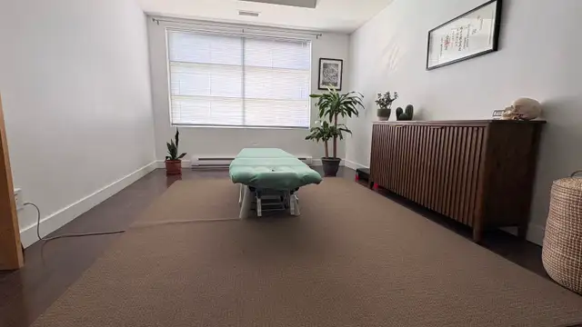 Professional Office for Rent - Plateau Mont-Royal, $20 to $35/hour