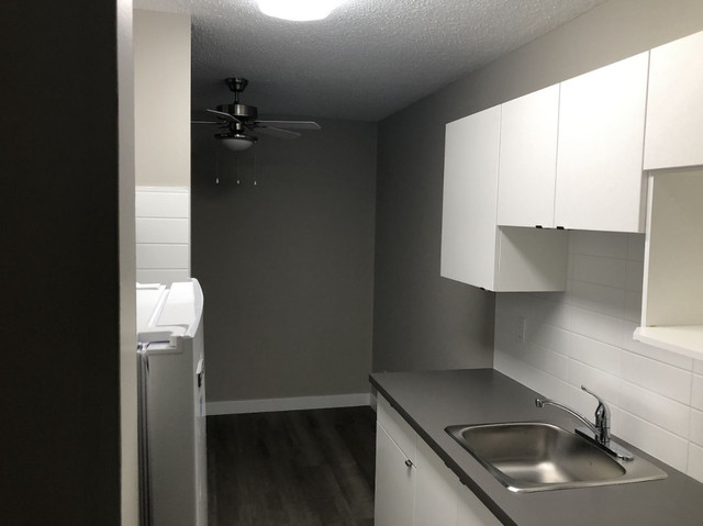 Apartments for Rent near Downtown Calgary - Sunnyside Gardens -  in Long Term Rentals in Calgary - Image 4