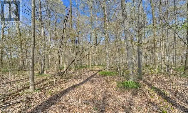 315529 31ST LINE Zorra, Ontario in Land for Sale in Woodstock - Image 7