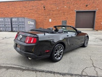 Sun out, top down, and summer calling your name. This 2012 Ford Mustang Club of America Premium V6 C... (image 7)