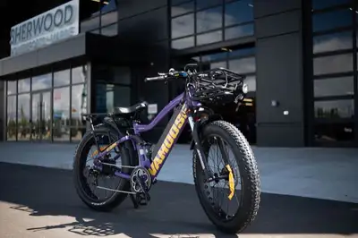 Vamoose ODIN 4.2 mountain bike brings enjoyment to trails full of bumps and chatter. With its impact...