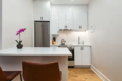 Furnished Pointe St Charles Studio