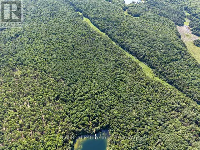 382 OLD DETLOR ROAD Bancroft (Dungannon Ward), Ontario in Land for Sale in Trenton - Image 13