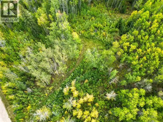 Lot 4 203 Road Dawson Creek, British Columbia in Land for Sale in Dawson Creek - Image 5