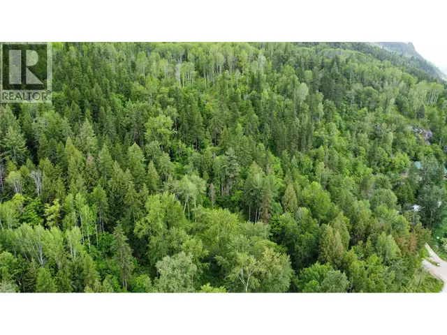 Arrow Lake 10 Lot Package Arrow Lakes Drive Castlegar, British C in Land for Sale in Nelson - Image 8